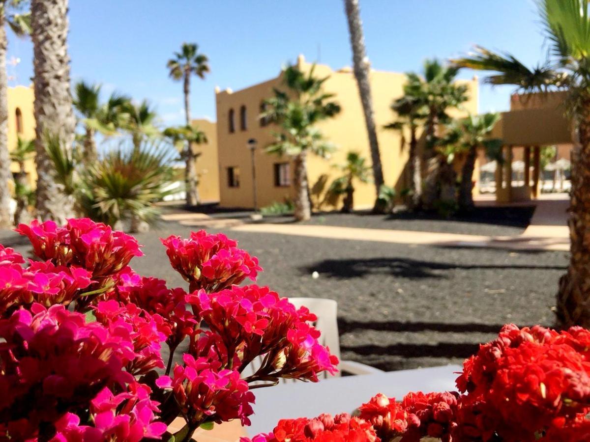 Casa Ledu - Sunny Holiday In Fuerteventura كوراليهو المظهر الخارجي الصورة