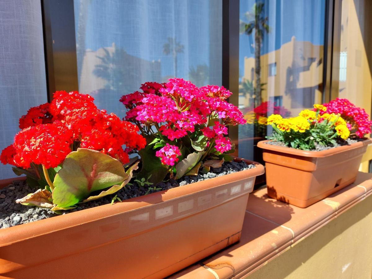 Casa Ledu - Sunny Holiday In Fuerteventura كوراليهو المظهر الخارجي الصورة