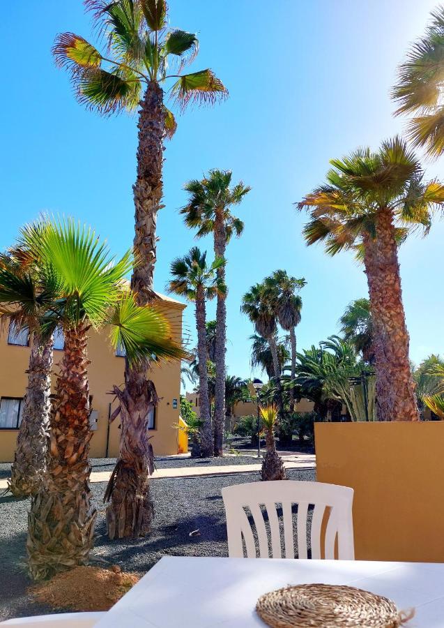 Casa Ledu - Sunny Holiday In Fuerteventura كوراليهو المظهر الخارجي الصورة